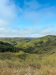 California Roadside Mountain Cliff