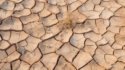 A close-up shot of cracked earth, revealing the harsh reality of drought.