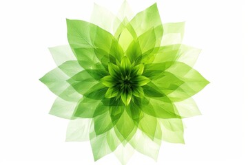 Geometric depiction of a green minimalist flower in striking composition
