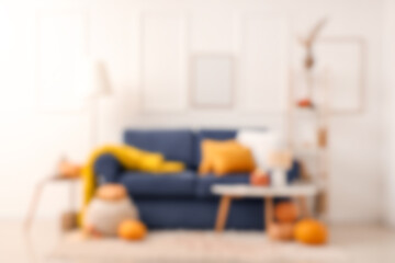 Blurred view of living room with sofa, shelf unit and pumpkins