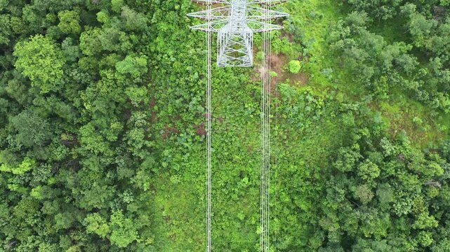 Large electric poles and power transmission lines to various cities run through the lush forest.