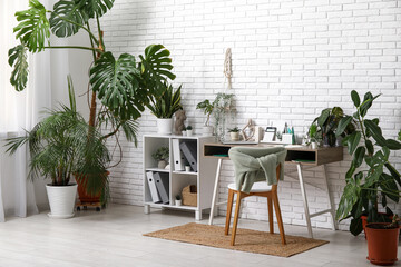 Interior of office with workplace, shelf unit and green plants