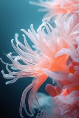 A serene, close-up shot of an underwater world, showcasing minimalist designs, vibrant coral textures, elegantly flowing seaweed, captured in stunning macro photography