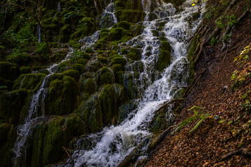 Beauty in spring nature, amazing waterfall in forest. Waterfall and pond. Panoramic beautiful deep forest waterfall. Beautiful view to waterfalls with green forest. The tranquil waters of waterfalls.