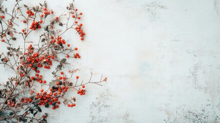 Winter composition with rowan branches and berries on white wooden background.