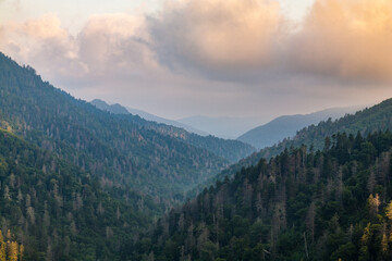 Morning Atmosphere in the Great Smoky Mountains
