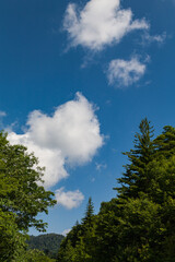 Clouds and Blue Sky in the Great Smoky Mountains