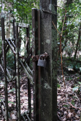 森の中の柵
