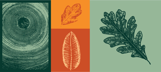 Set of colorful isolated autumn leaves. Grunge foliage stamps of oak maple and sycamore leaves. Tree rings design.
