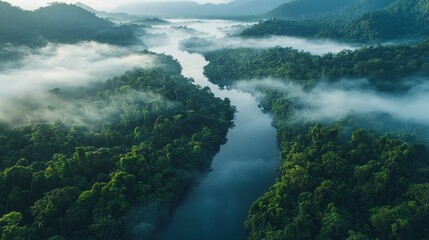 Obraz premium Drone perspective capturing a vast, untouched rainforest with mist rolling through the towering trees, showcasing environmental preservation. close up - Eco-tourism theme - realistic - Double exposure