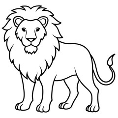 lion illustration