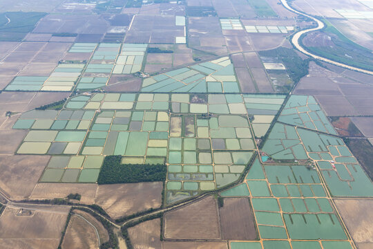 Aerial view of catfish farms near Isola, Mississippi, USA
