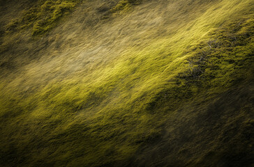 Soft Moss Streaks Gliding Over an Earth-Toned Base Revived