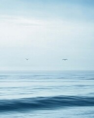 Obraz premium Peaceful Seascape with Birds Flying Over Serene Ocean Horizon