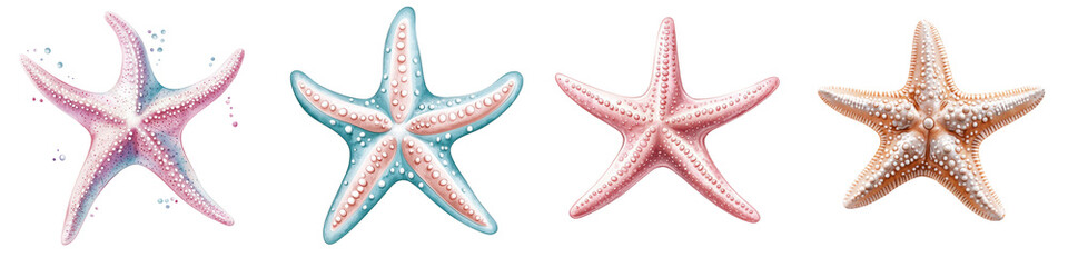 A collection of beautifully colored starfish displayed in a creative arrangement. Perfect for beach and ocean-themed projects.