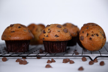 Chocolate muffins with chocolate chips on a cooling rack on a white background. 