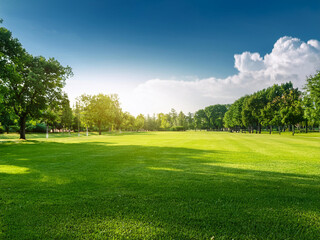 Fototapeta premium Green Grassy Park Field Outdoors Concept