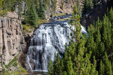 Photo of the beautiful Gibbon Falls waterfall in Yellowstone national park on bright day.