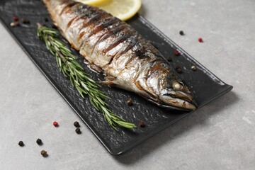 Delicious grilled mackerel, rosemary and peppercorns on grey table