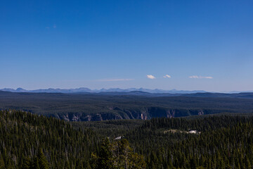 Photograph Vast large pine tree forest with crater in the center blue mountains on the horizon.
