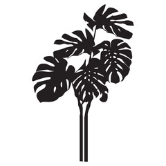 silhouette monstera leafe .eps © Hasan