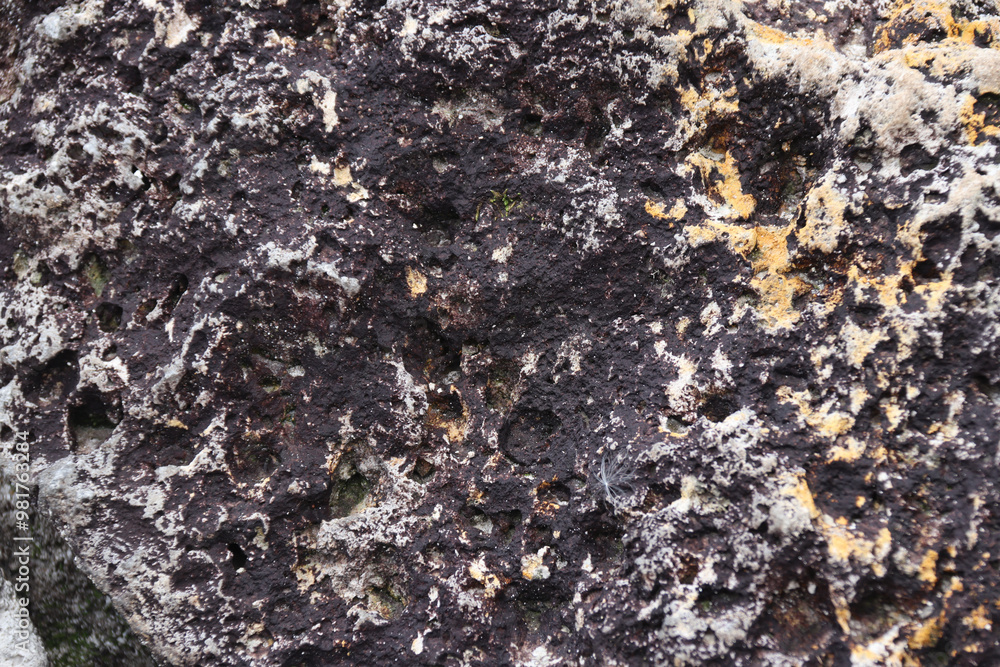 Poster detailed close-up of an ancient rock with rich textures, dark tones, and natural erosion patterns. i