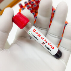 Blood sample for Oropouche virus Test to diagnosis of Oropouche virus disease or  Oropouche fever....