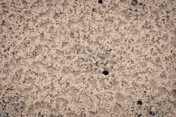 Close up small crab holes or hermit crab nest on the beach
