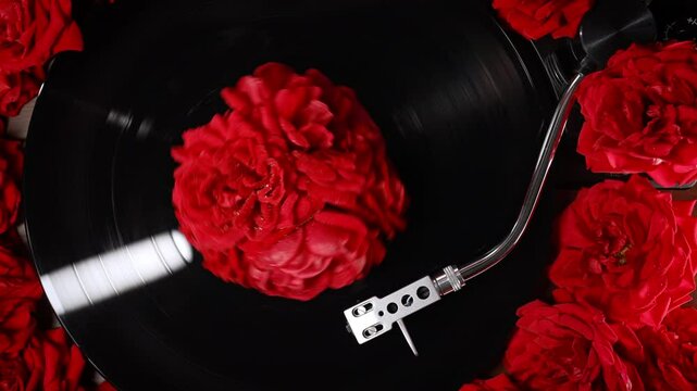 Classic vinyl record playing with red roses flowers background. Romantic collection, turntable spin, analog sound, beautiful music for love. LP, vintage aesthetics. 