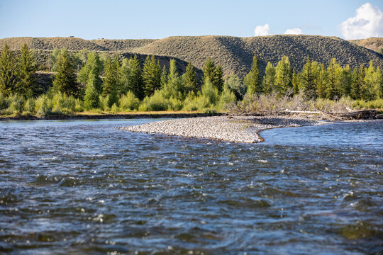 Photograph of towhead land formation in the middle of Snake River at The Grand Tetons National Park, Pine tree forest shoreline.