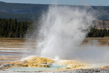 Landscape photo of Lower Geyser Basin, Yellowstone National Park morning geyser erupting along the Fountain Paint Pot Trail.