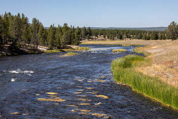 Photograph Firehouse River at Yellowstone National Park Wyoming lush green shoreline with pine tree forest