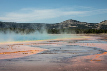 Yellowstone national park bright colorful grand prismatic springs in Wyoming hot steam rising from the water pine tree forest in the background.