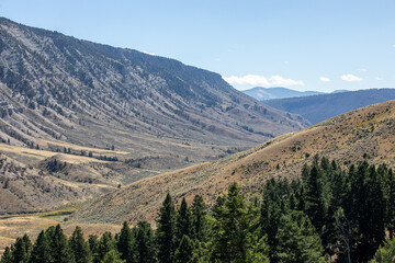 Landscape photo of mountains and valleys with a lush green pine tree forest. Location at Yellowstone National Park in Wyoming.