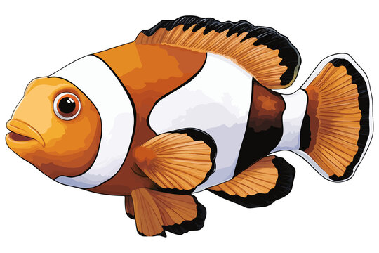 orange and white clownfish swimming clip art preview