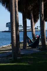 Fototapeta premium Relaxing Florida Waterfront Scene