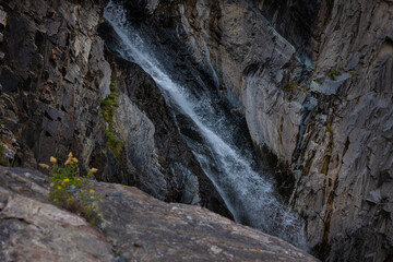 Photo of Bear creek falls in Colorado flowing down rocky ledge yellow wild flowers growing on ledge.
