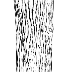 wood skin texture background