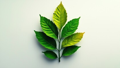 A vibrant arrangement of green leaves showcasing various shades and textures, perfect for nature and botanical themes.