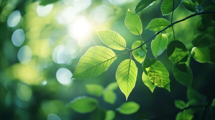 32. Bright green leaves of trees in a serene forest illuminated by morning sunlight, with sun rays breaking through the canopy and creating a stunning bokeh effect in the background, leaves moving in
