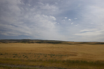 Fototapeta premium Beautiful landscape photograph of wide open grassland and calming cloudy sky photo taken from moving car motion blur in foreground.
