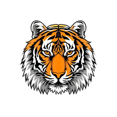 Tiger Face Illustration