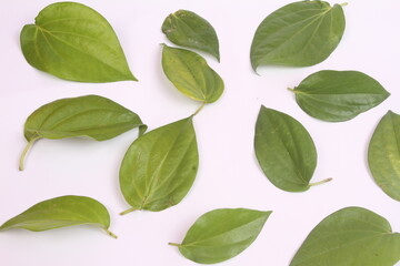 green leaves background