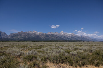 Landscape photograph of wide open field grass meadow and the Grand Teton Mountains on the horizon bright blue sky. Location Grand Tetons National Park, Wyoming.