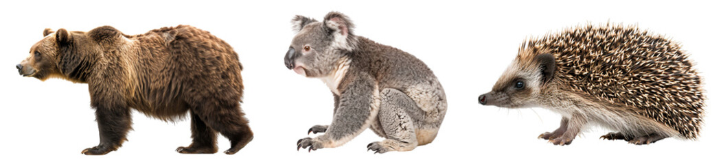 Fototapeta premium Set of animal groups, including hedgehog, bear, and koala, in full-body shots, isolated on transparent background.