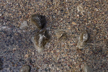 Photo overview of river floor through crystal clear water river rocks and small pebbles. 