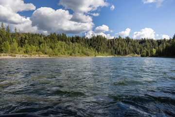 Landscape image of a river surface pine tree forest on the shoreline bright blue cloudy sky reflecting on the water.