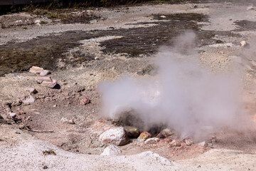Steam jet geyser at fountain paint pot trail in Yellowstone National Park. Thermal feature.