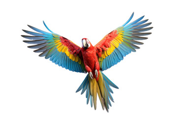 Fototapeta premium A flying macaw mid-air, with its wings fully extended, showing off the dynamic motion and vibrant colors of its feathers isolated on white background