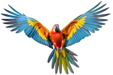 Fototapeta premium A flying macaw mid-air, with its wings fully extended, showing off the dynamic motion and vibrant colors of its feathers isolated on white background